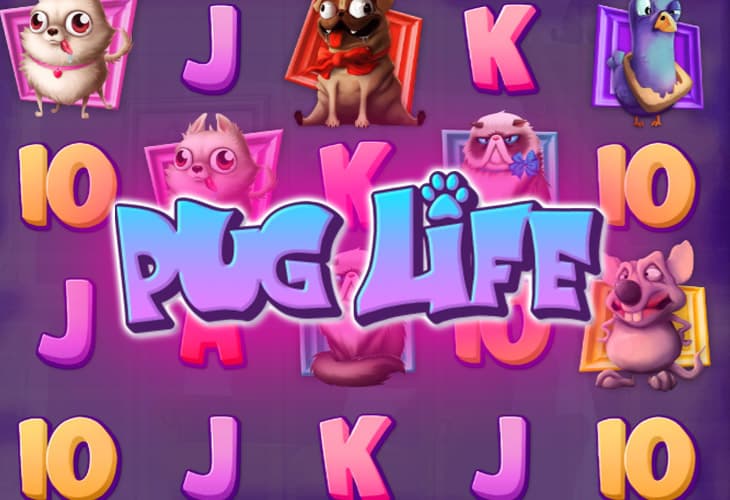Pug Life