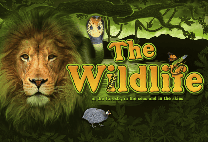 The Wildlife